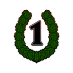 S.A.A Military Police