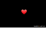 #### ياسر جيش