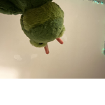 Kingdom Of The Stuffies