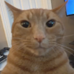 . . . .