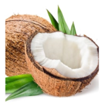 Coconuts :)