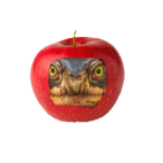 apol turtel
