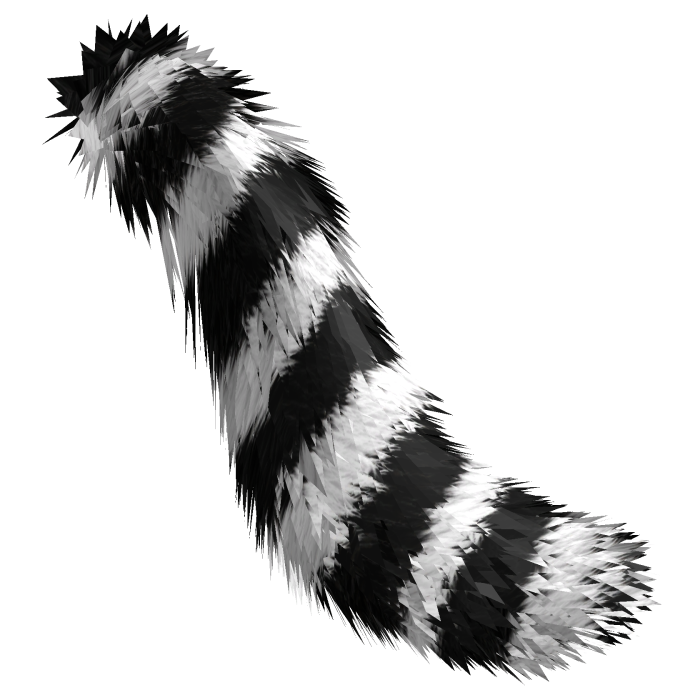 Black and White Striped Tail