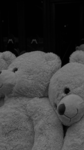 Meine Teddy Bears
