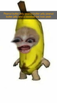 i going to give reina bob