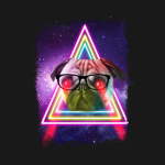 Galaxy Dogs/pugs