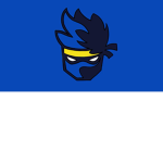 Gaming with ninja