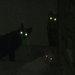 - ᴛʀᴏʟʟᴇʀs ᴡᴀʀᴇʜᴏᴜsᴇ -