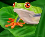 Frog Army101
