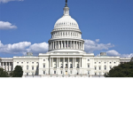 The Robloxian Namesnipe Government