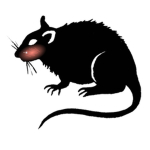 Anime Rats Central