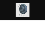BlueSteel Eggs