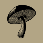 Forest Mushroom Gang
