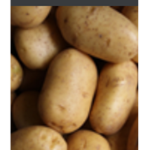 Big Potato Army