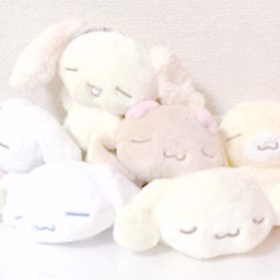⋆ ˚｡⋆ ୨୧˚ ⋆