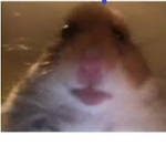 Bruhmomet