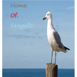 (V2) Home. Of. Seagulls.