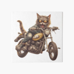 the cat riders community