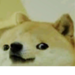 JDFoxBoyy fans