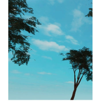 Small island (closed)