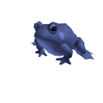 Frog On Your Head