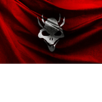 Bloody Raiders