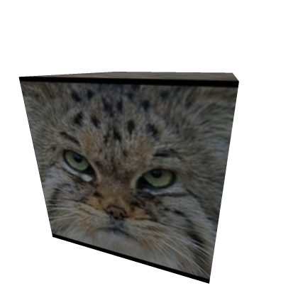 manul box