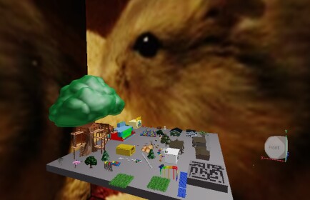 ANJICAGUGI Hamster ####