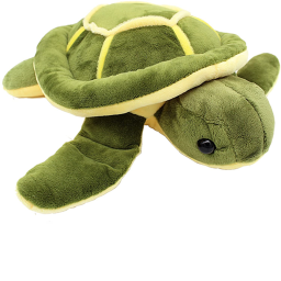 TURTLE WORSHIP