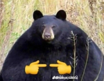 MonkeyTIME_PRO