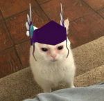 Lynx's Swag Group