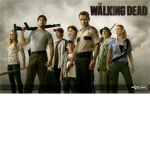 The Walking Dead Team
