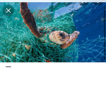 Save lives and help the world