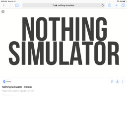 nothing simulator