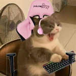 the kat gamers want stuff