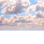 SPICY HOT SHY GIRLS