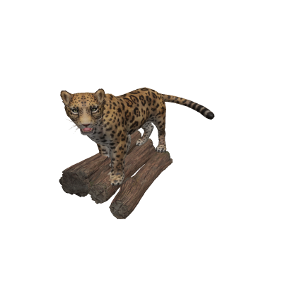 Leopart