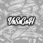 Team VnSnGnH