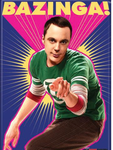 Bazinga cult (young Sheldon)