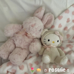ʚ rosalie ɞ