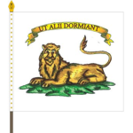 Infanterieregiment Nr. 8-A "Von Diepenbroick"