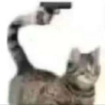 ORYYYYYYANDVINNNNNYY
