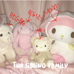 The sibling family !
