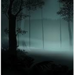 Forbidden Spirit Realm