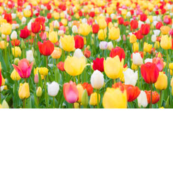 Vibe fighting simulator