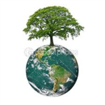 Save The Trees!