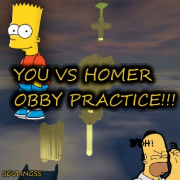 You VS Homer Obby Practice