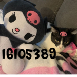 kittens>.<