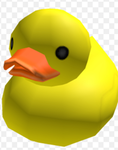 THE DUCKKS GROUP