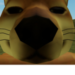 Doge group 12